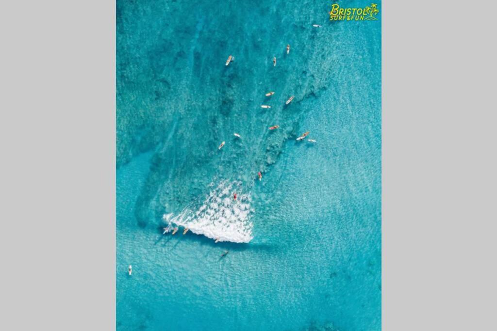 B-Rent Bristol Beach Surf & Fun Corralejo Exterior foto